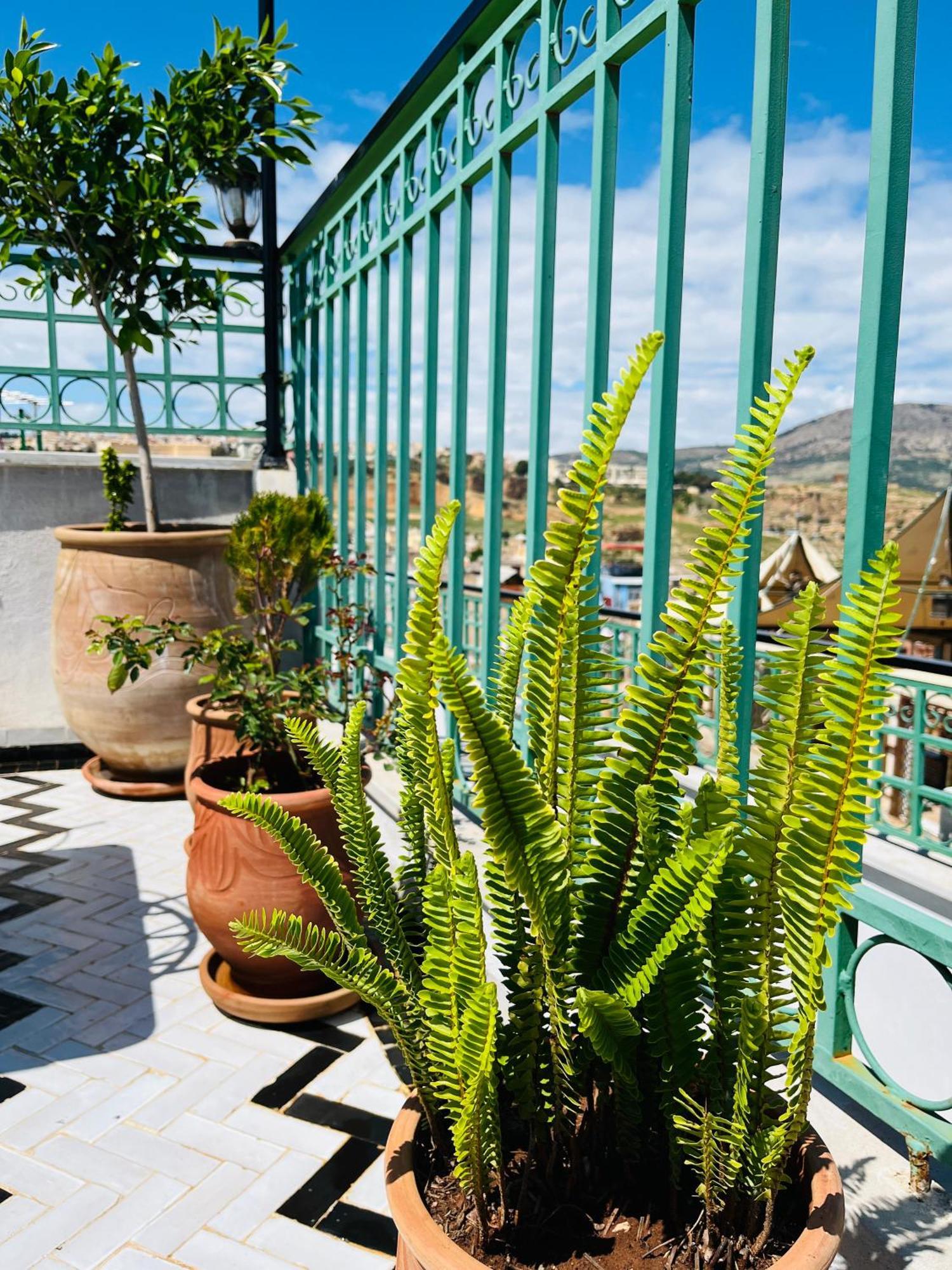 Riad Fes Miracle Екстериор снимка